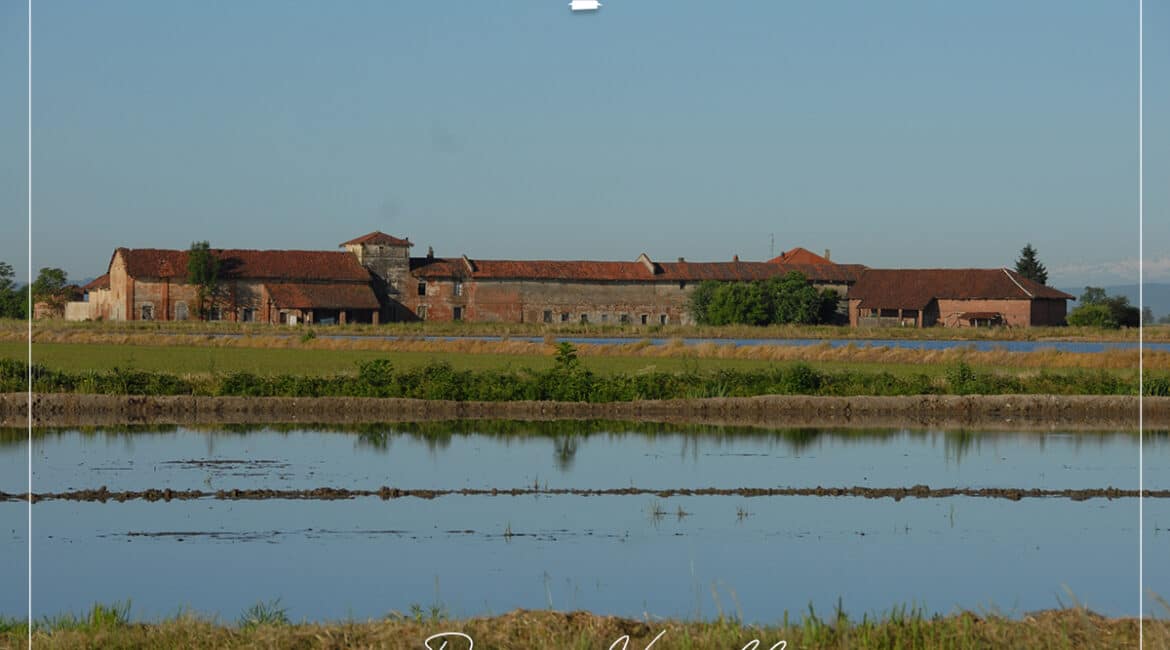 piemonturismo provincia di vercelli le risaie