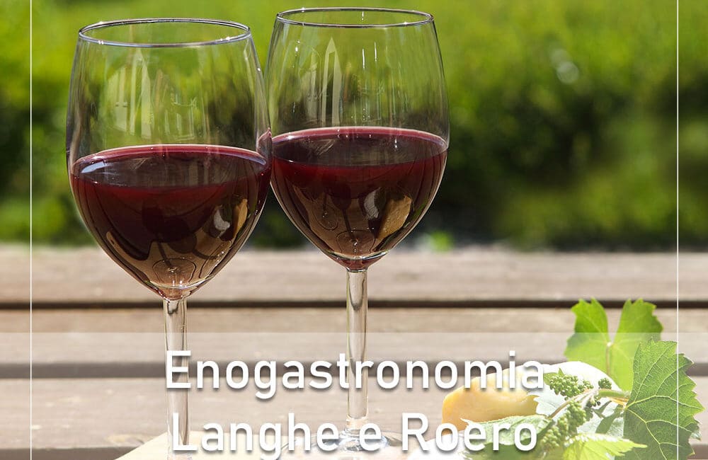 Piemonturismo enogastronomia langhe e roero