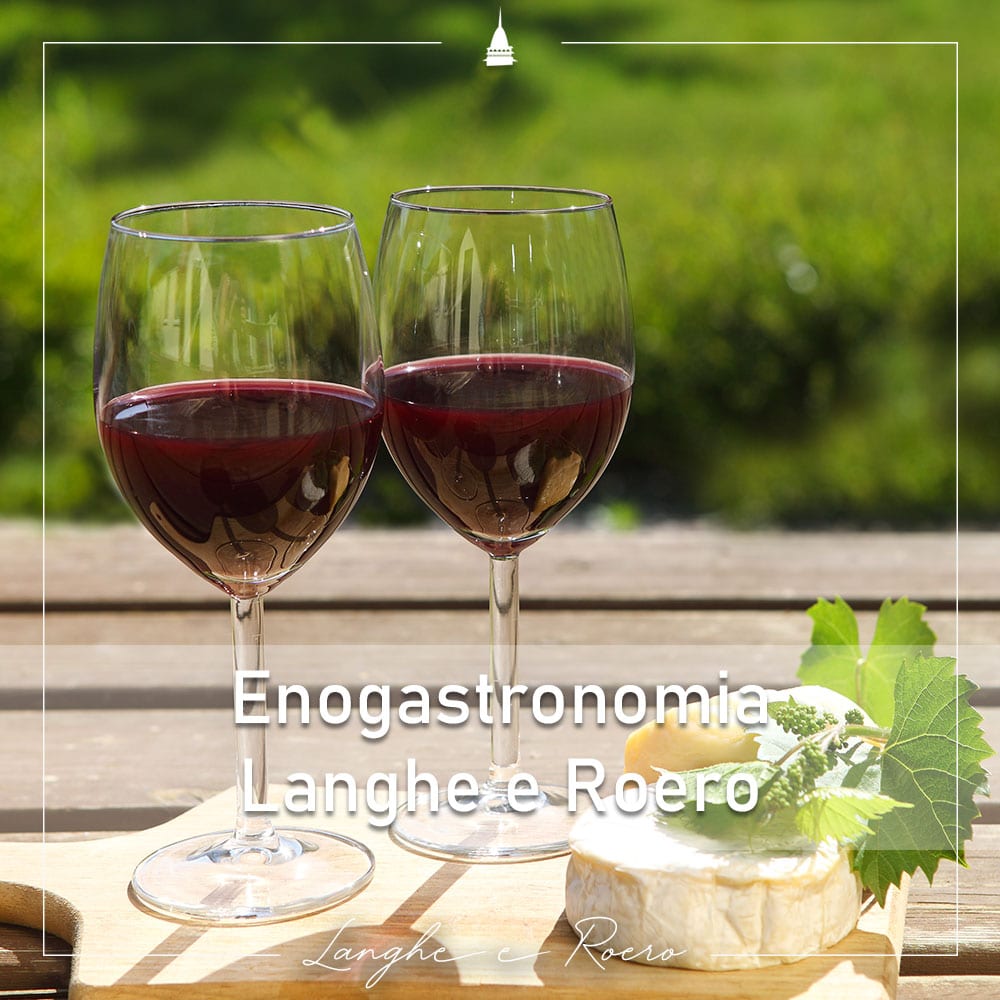 Piemonturismo enogastronomia langhe e roero