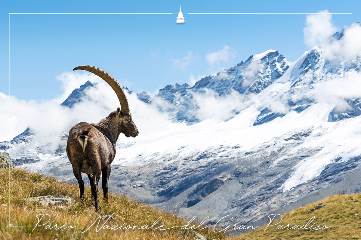 Piemonturismo parco nazionale del gran paradiso